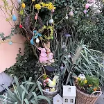 Holiday home Alia House With Garden In