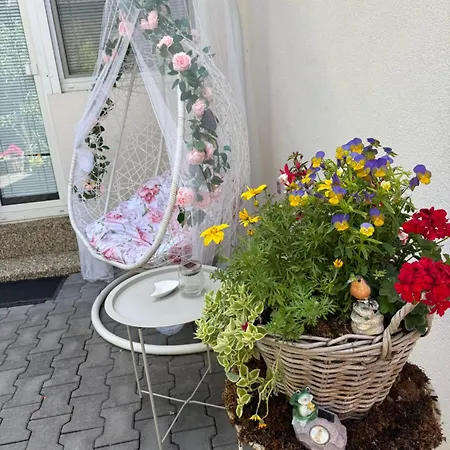 Alia House With Garden In * Piest'any