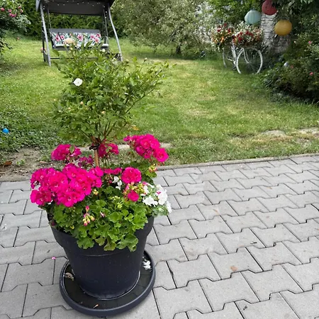 Prázdninový dům Alia House With Garden In *